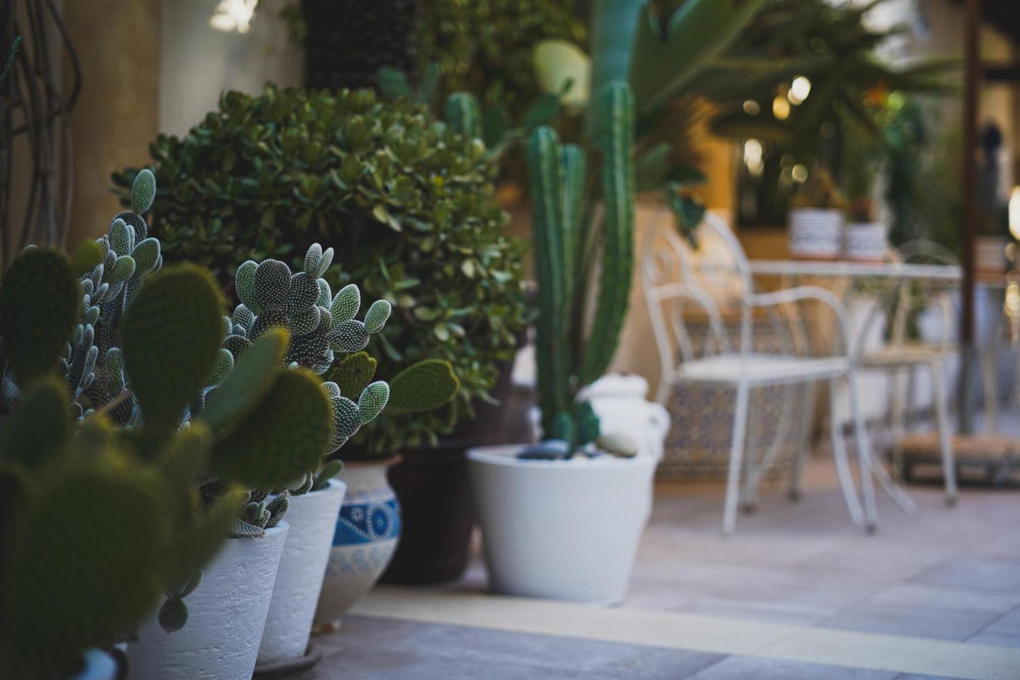 Riad Comfort Rooms San Vito Lo Capo Dış mekan fotoğraf