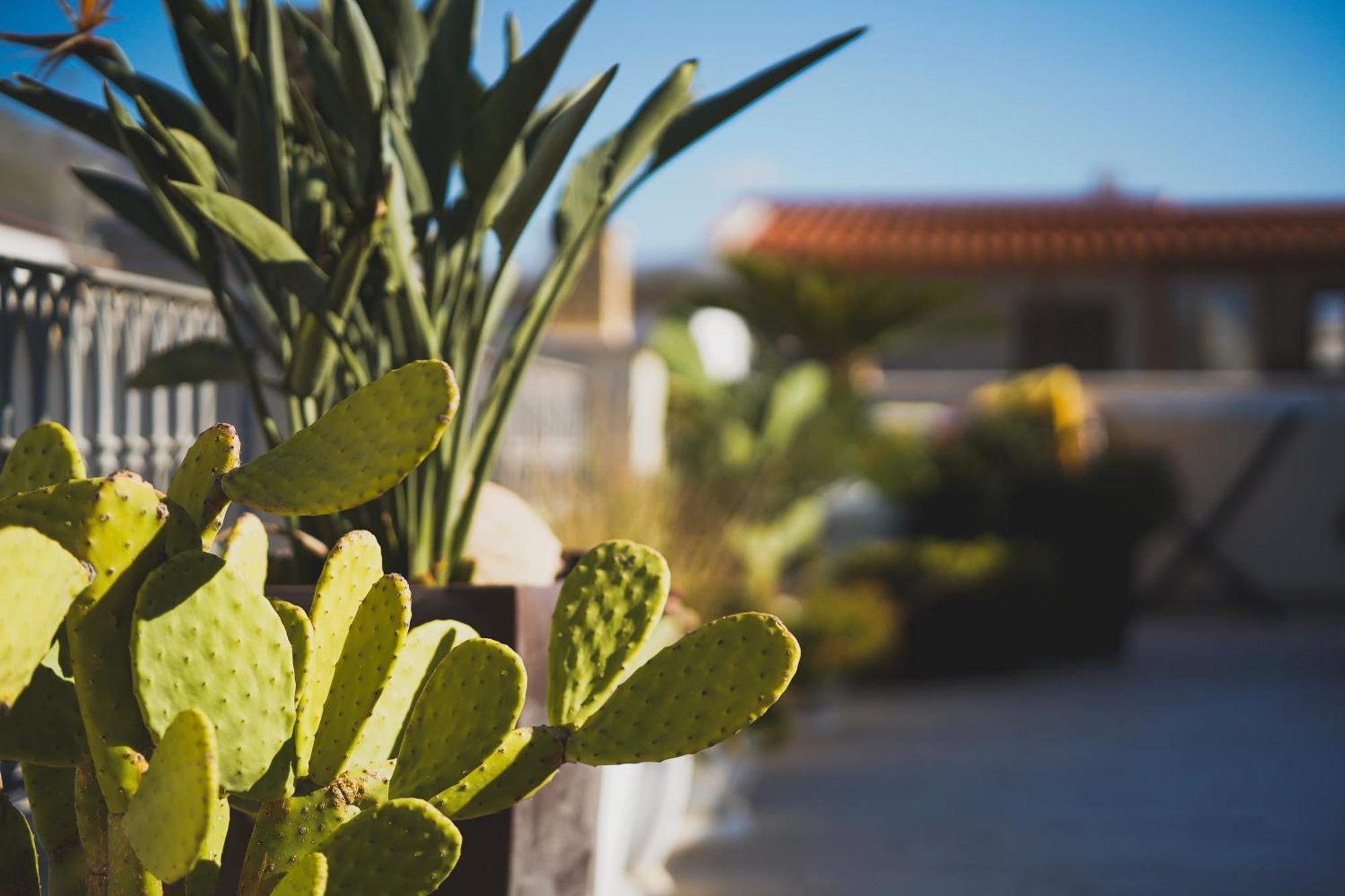 Riad Comfort Rooms San Vito Lo Capo Dış mekan fotoğraf